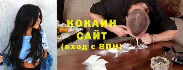 твердый Арсеньев