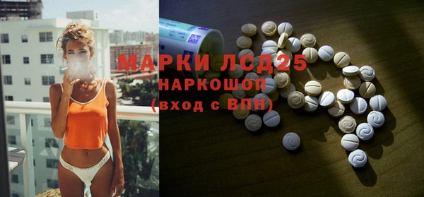 твердый Арсеньев